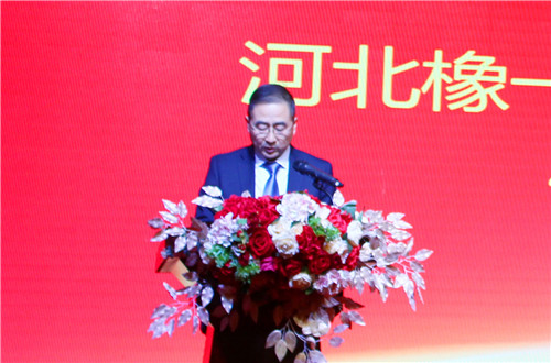 固本砺行，激流勇进—德盛集团2018年度总结表彰(图5)